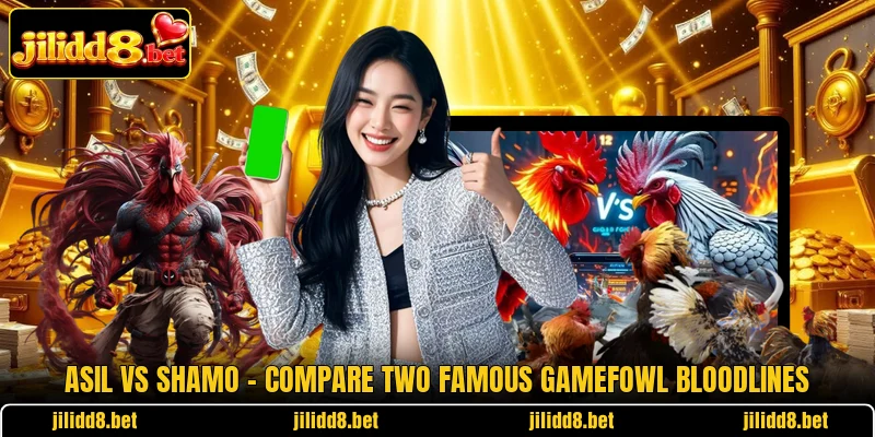 Asil Vs Shamo – Compare Two Famous Gamefowl Bloodlines
