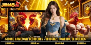 Strong Gamefowl Bloodlines – Recognize Powerful Bloodlines