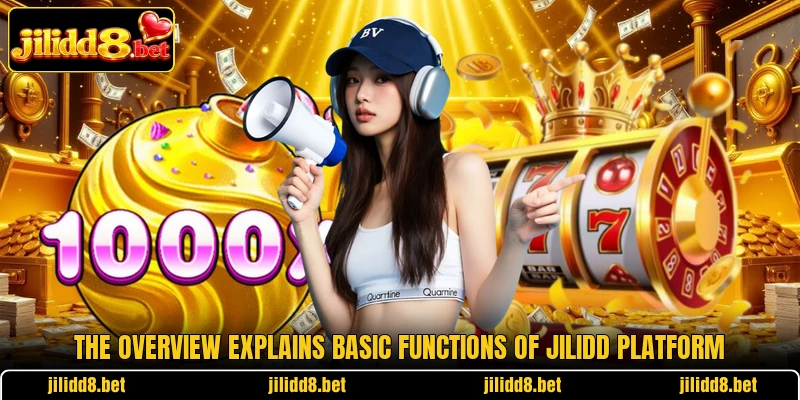The overview explains basic functions of JILIDD platform